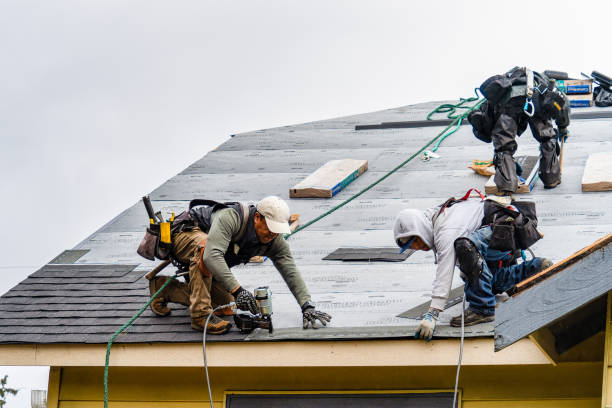 Professional Gutter Installation technician working in Dennison, MN